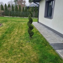 Wycinka drzew Starachowice 4