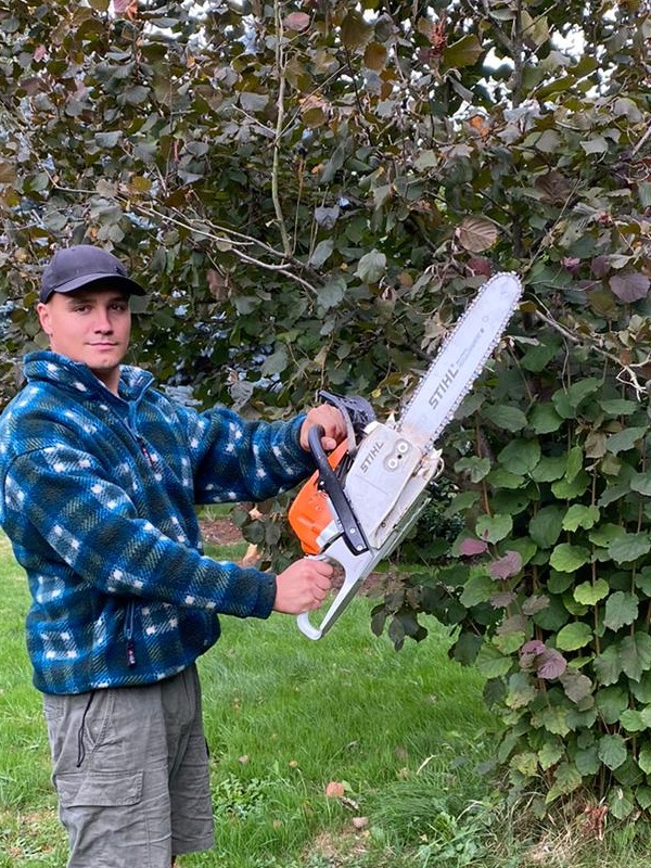Mężczyzna w czapce i polarze w niebieską kratę trzyma piłę łańcuchową Stihl na tle krzewu z zielono-bordowymi liśćmi.