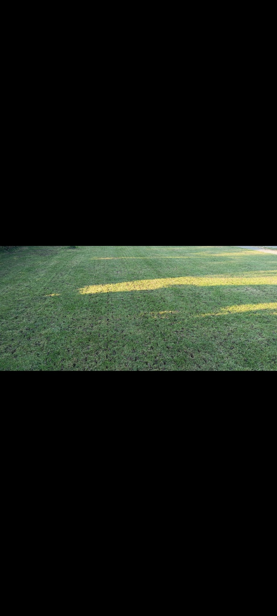 Krótko przystrzyżony trawnik z widocznymi kretowiskami, oświetlony promieniami popołudniowego słońca, ukazujący równą powierzchnię trawy.