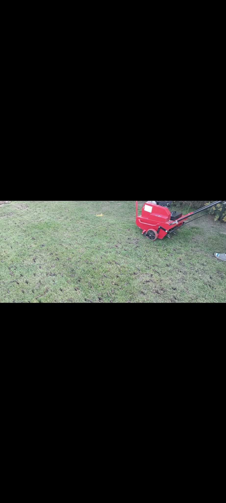 Aeracja trawnika: czerwony aerator na zielonej trawie, widoczne ślady po nakłuciach, fragment buta osoby obsługującej urządzenie w prawym dolnym rogu.