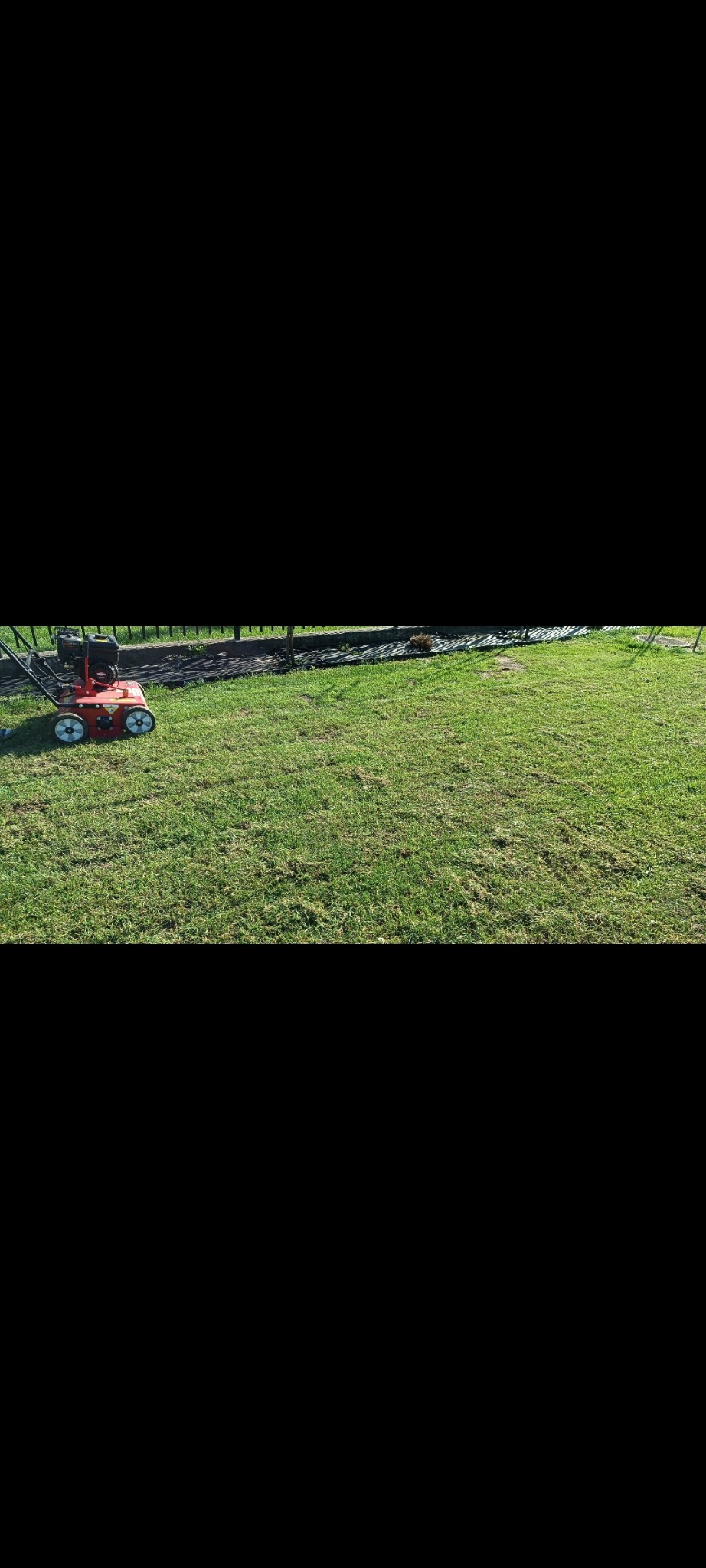 Czerwona kosiarka spalinowa na zielonym trawniku, częściowo skoszonym. W tle czarne ogrodzenie i fragment grządki.