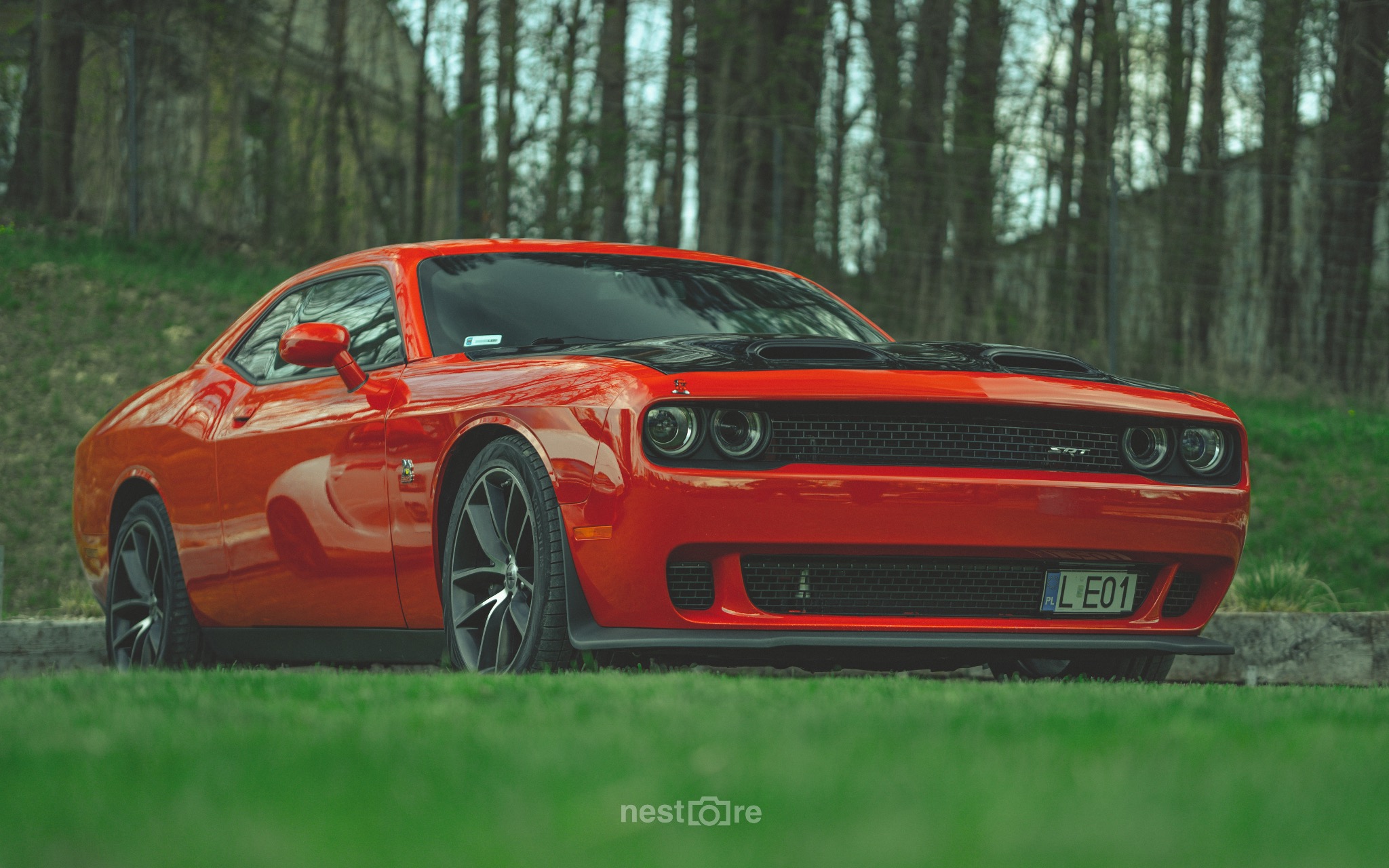 Pomarańczowy samochód sportowy Dodge Challenger SRT z czarną maską na tle drzew i trawy, widok z przodu.