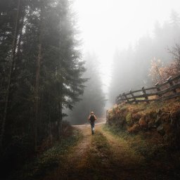 sklep internetowy Ustrzyki Dolne 1