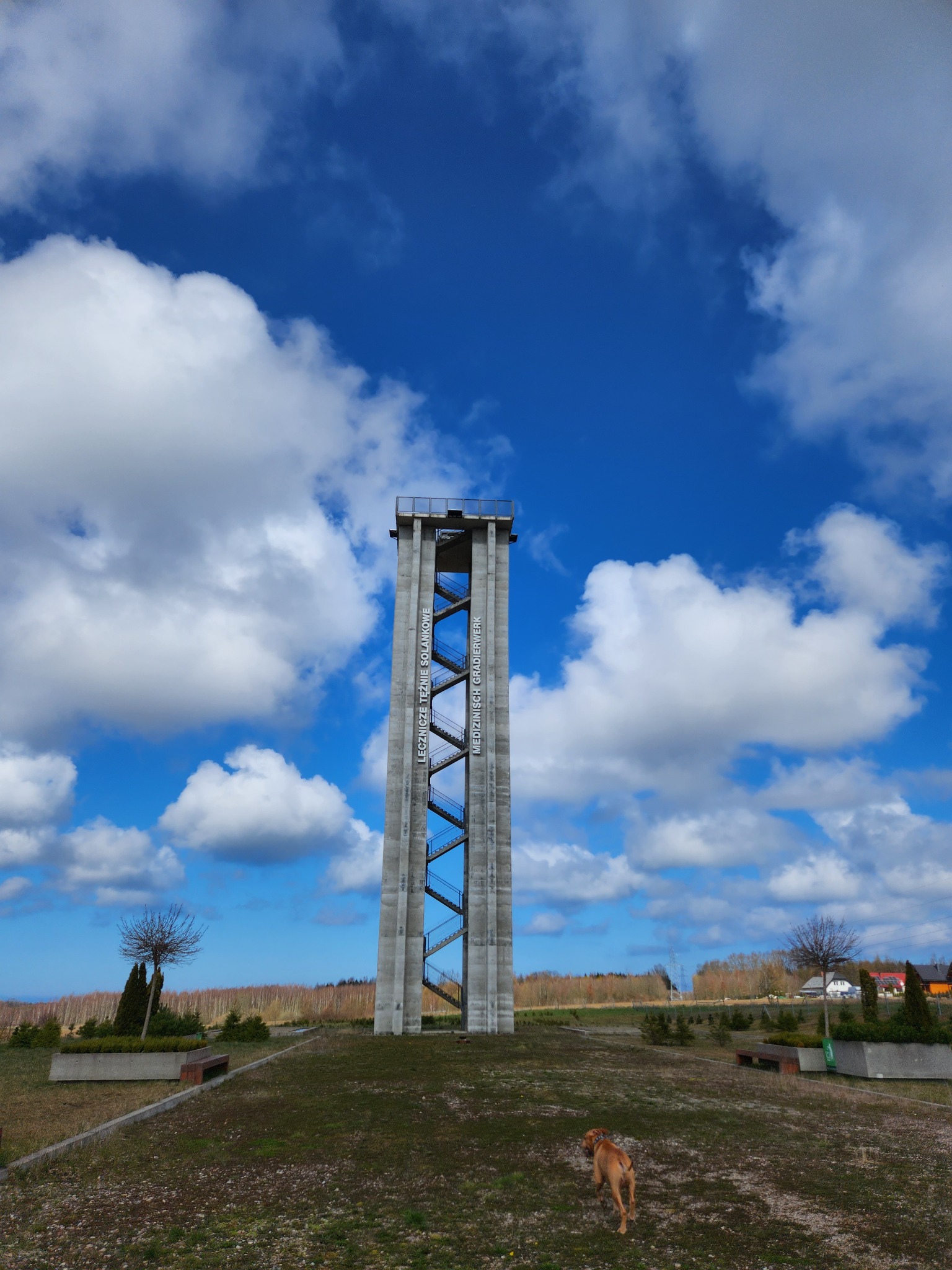 Wysoka, betonowa wieża widokowa z zewnętrznymi schodami na tle błękitnego nieba z białymi chmurami. Na pierwszym planie trawiasta łąka z psem rasy wyżeł.