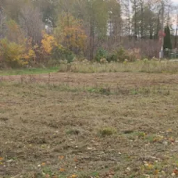 Świeżo skoszona trawa na dużej działce w jesiennej scenerii, widoczny budynek gospodarczy w tle.