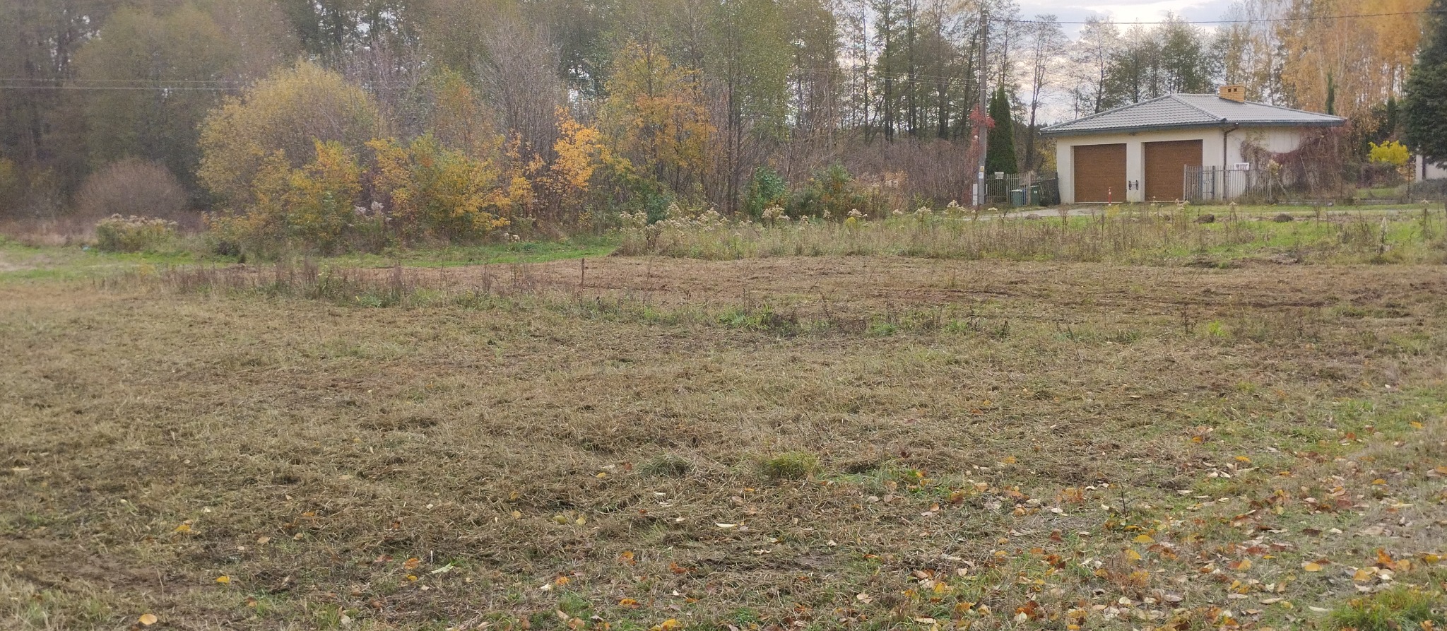 Świeżo skoszona trawa na dużej działce w jesiennej scenerii, widoczny budynek gospodarczy w tle.