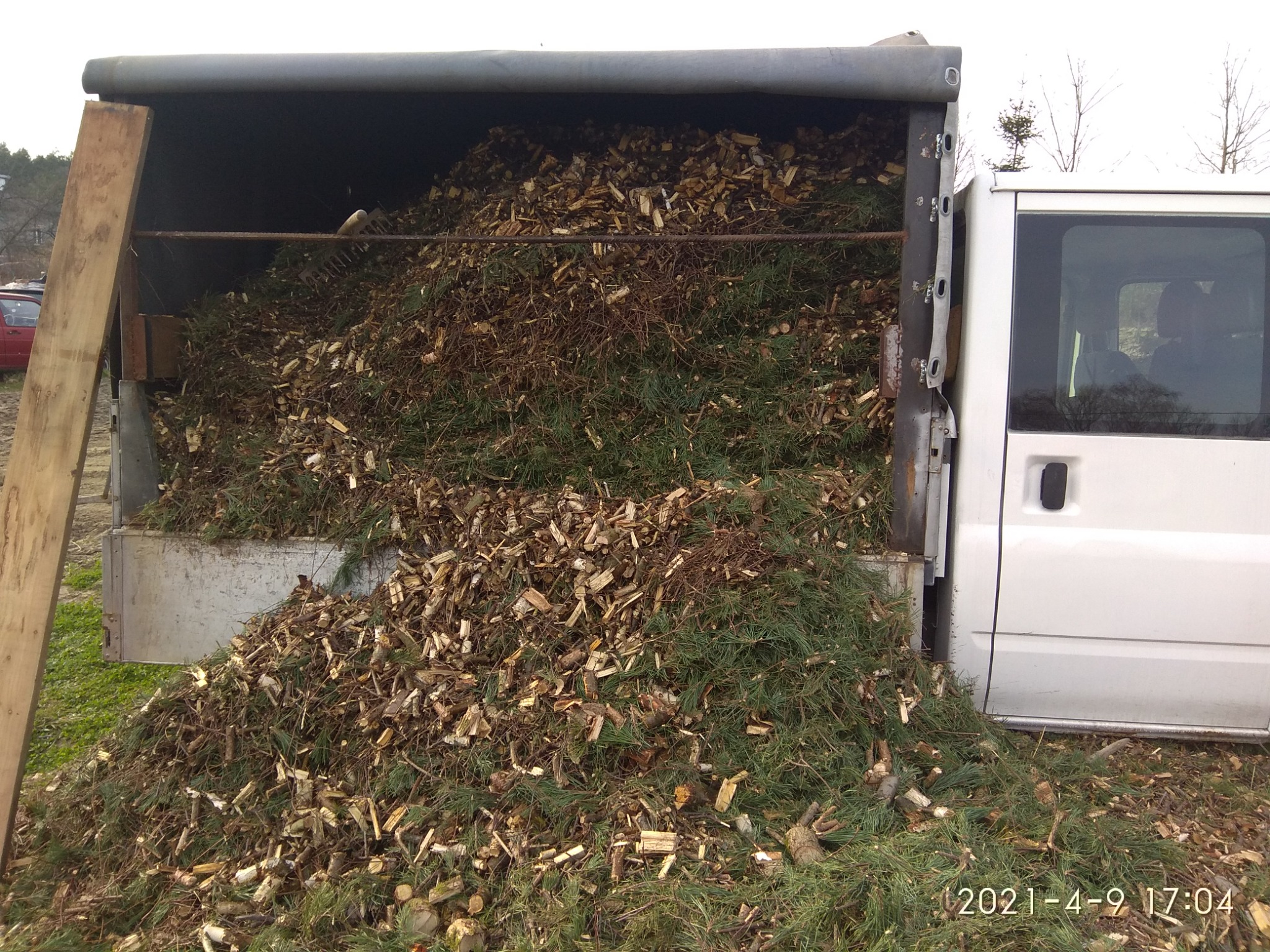 Przyczepa samochodu dostawczego wypełniona po brzegi gałęziami i fragmentami drzew po wycince, z widocznymi igliwiem i drewnianymi odłamkami, częściowo wysypana na ziemię.