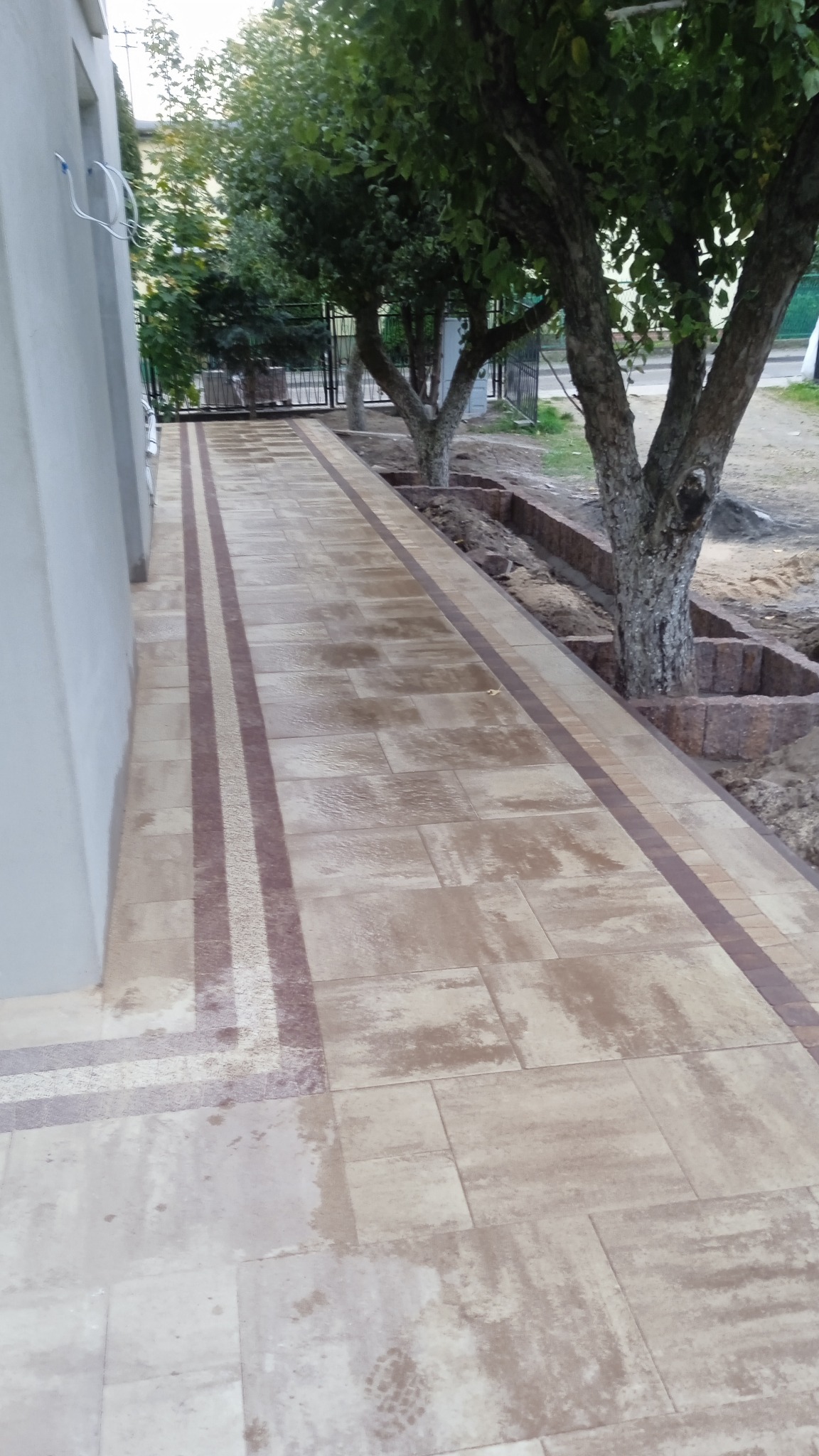 Ułożona kostka brukowa wzdłuż ścieżki z drzewami, z obrzeżami w kontrastowym kolorze, częściowo jeszcze otoczona ziemią.