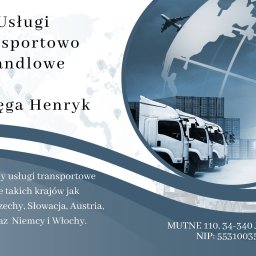 Uslugi Transportowo - Handlowe Henryk Wacięga - Pierwszorzędna Firma Transportowa Międzynarodowa w Żywcu
