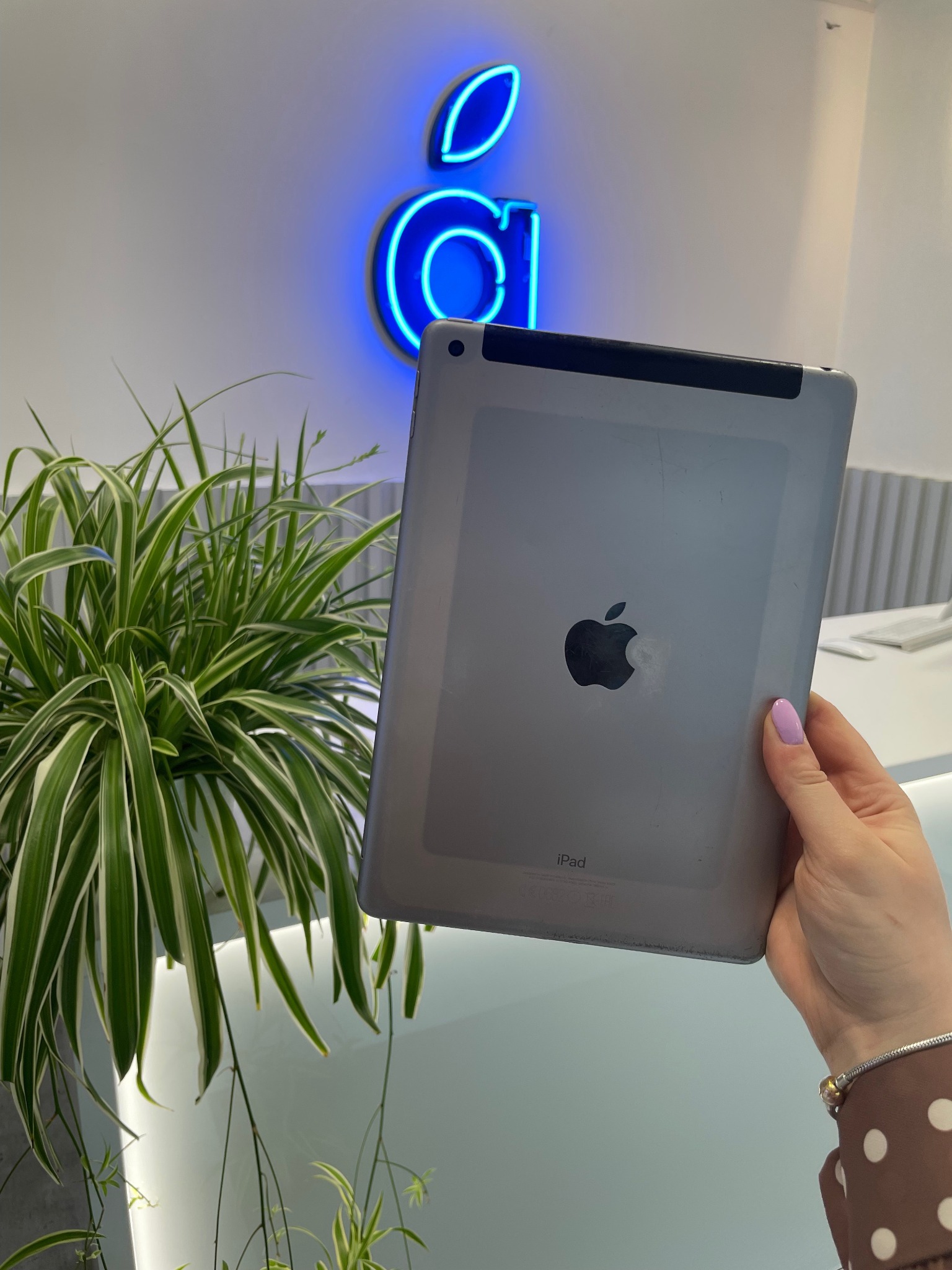 Używany iPad w dłoni kobiety z fioletowym lakierem do paznokci, widoczne ślady użytkowania na obudowie, w tle neonowe logo i roślina doniczkowa.