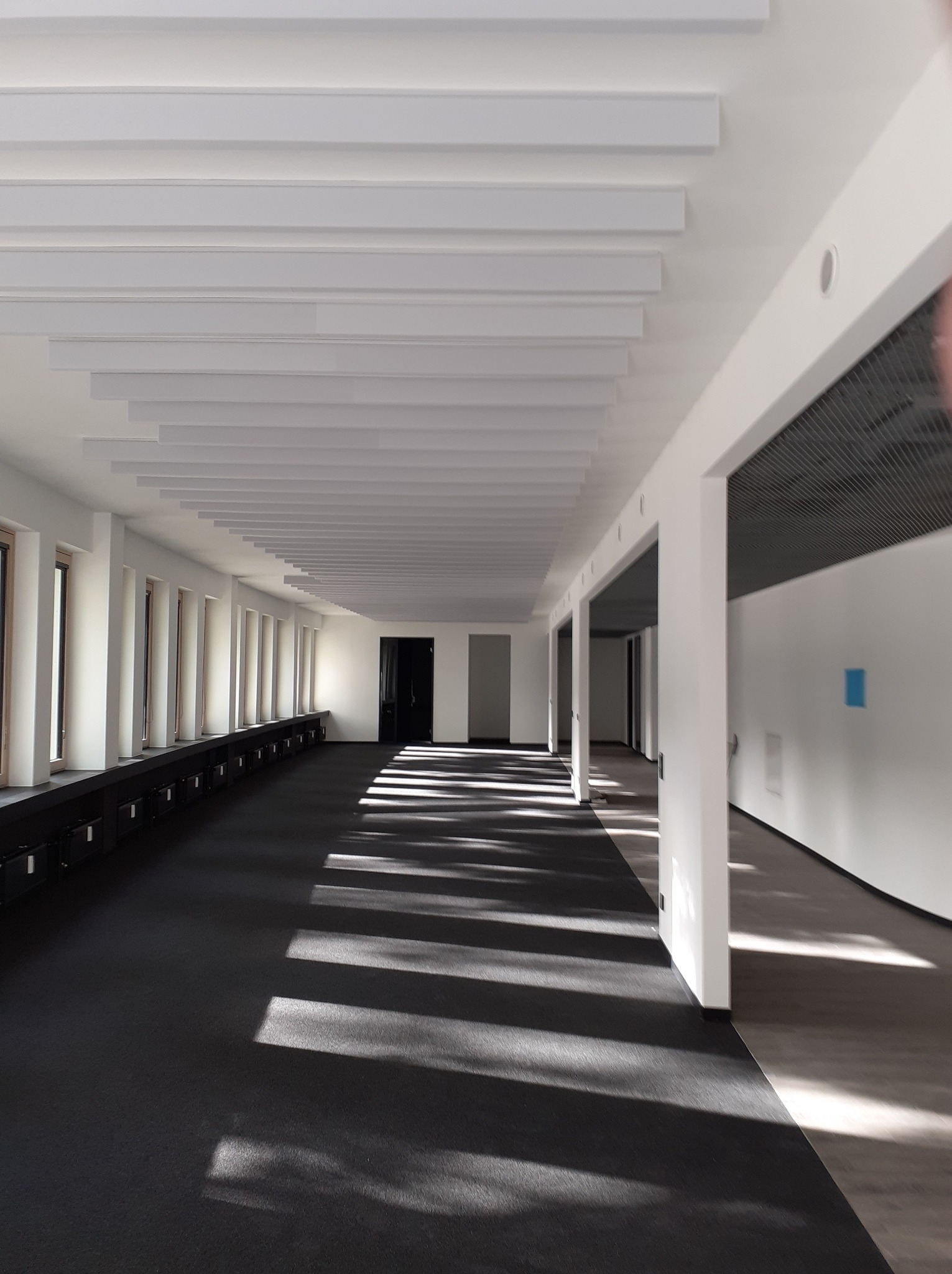 Przestronne, jasne wnętrze biurowe z czarną wykładziną i rzędami okien, oświetlone promieniami słońca tworzącymi geometryczne wzory na podłodze, z charakterystycznym, kasetonowym sufitem akustycznym.