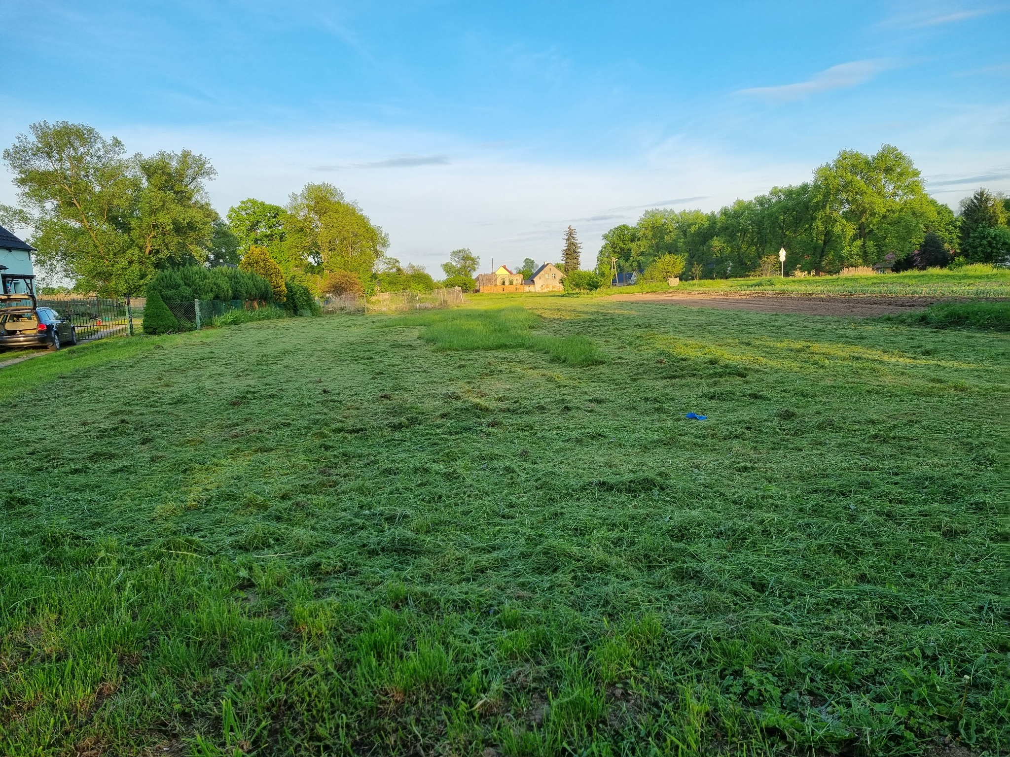 Rozległy trawnik świeżo po koszeniu, z widocznymi śladami cięcia i rozrzuconą trawą, w tle drzewa i zabudowania wiejskie w porannym świetle.