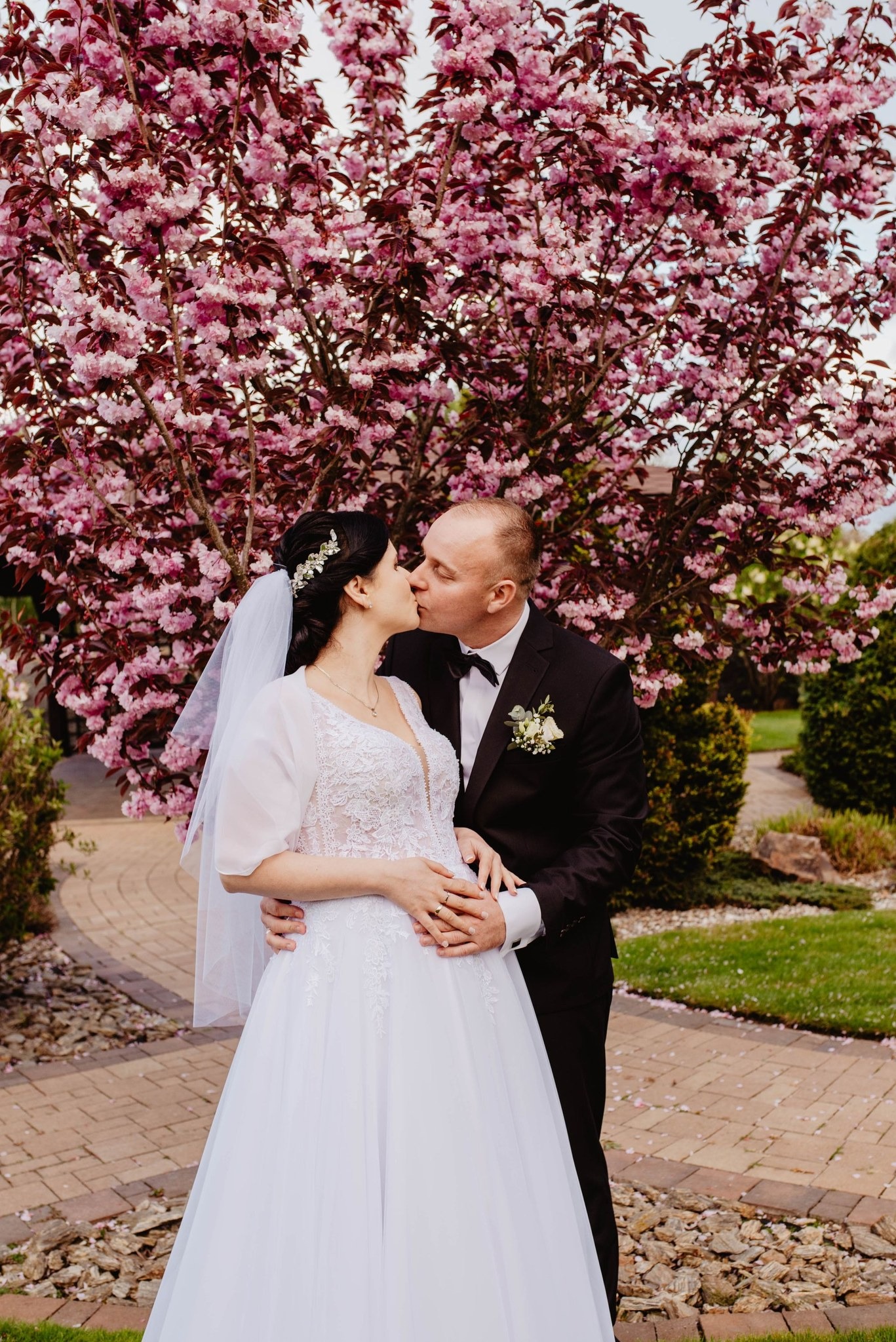 Pocałunek nowożeńców na tle kwitnącego drzewa wiśni, panna młoda w koronkowej sukni i welonie, pan młody w czarnym garniturze z butonierką.