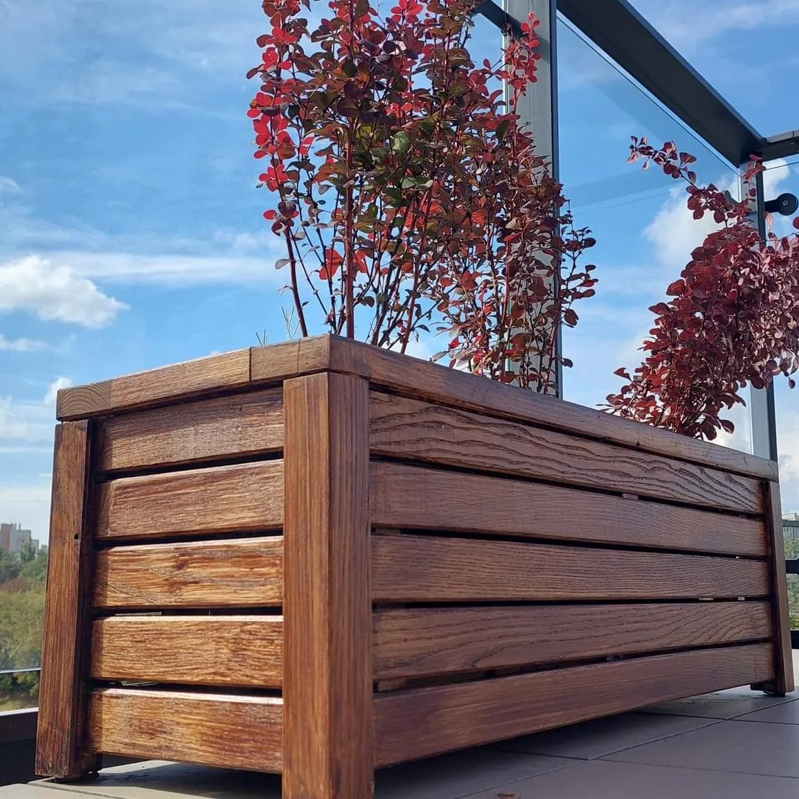 Drewniana skrzynia na kwiaty z czerwonymi liśćmi na balkonie z przeszkloną balustradą, widoczne niebo i zieleń w tle.