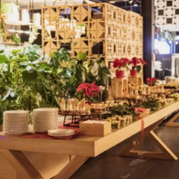 Stół cateringowy z przekąskami, dekoracjami świątecznymi i roślinami doniczkowymi, ustawiony w nowoczesnym wnętrzu z drewnianymi elementami dekoracyjnymi.