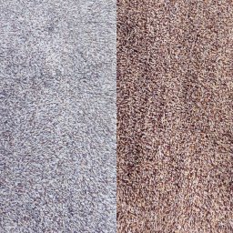 Mateusz Stenzel - Połowa powierzchni dywanu z długim włosiem w odcieniach szarości, druga połowa w odcieniach brązu, ukazująca różnicę przed i po czyszczeniu.