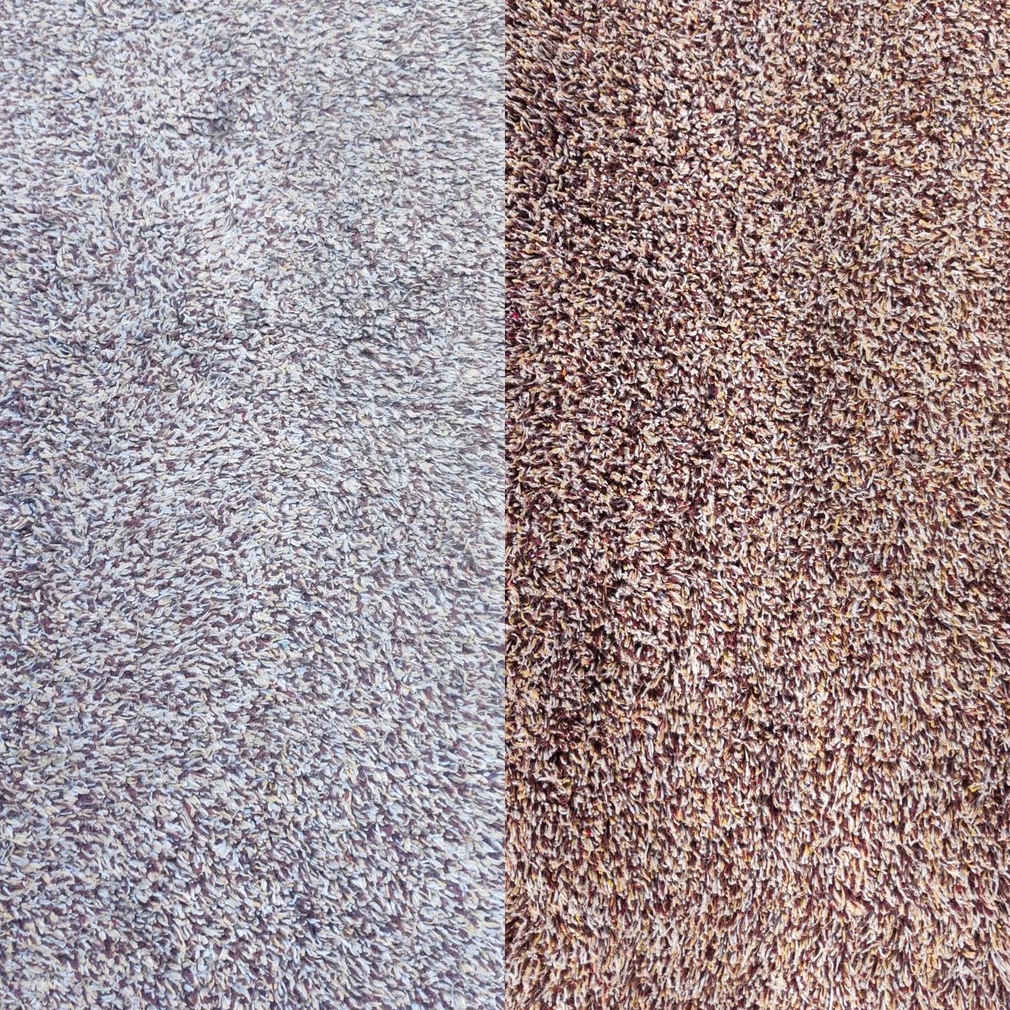 Połowa powierzchni dywanu z długim włosiem w odcieniach szarości, druga połowa w odcieniach brązu, ukazująca różnicę przed i po czyszczeniu.