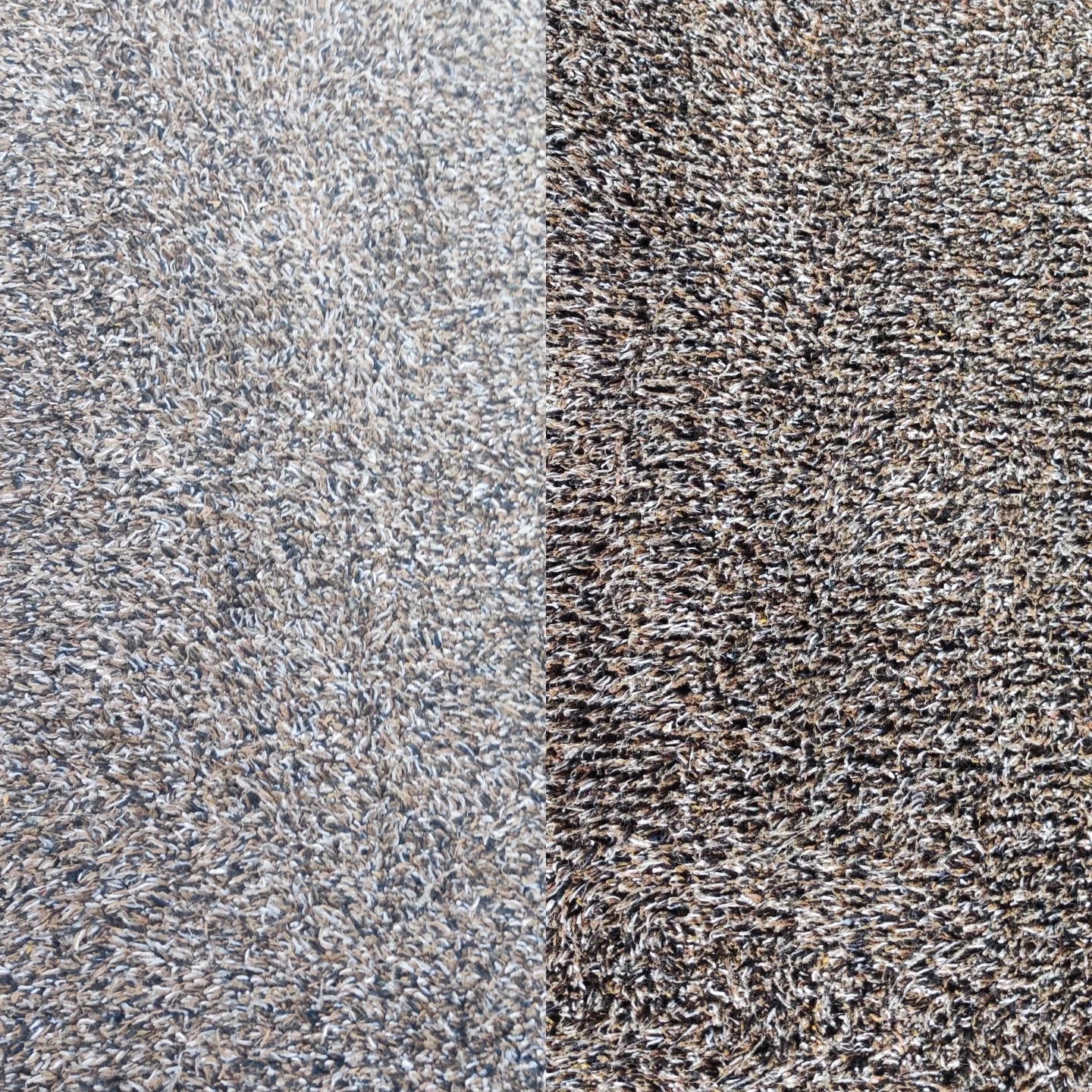 Dywan z wyraźnym podziałem na dwie części: jaśniejszą, odświeżoną i ciemniejszą, zabrudzoną, ukazujący efekt czyszczenia.