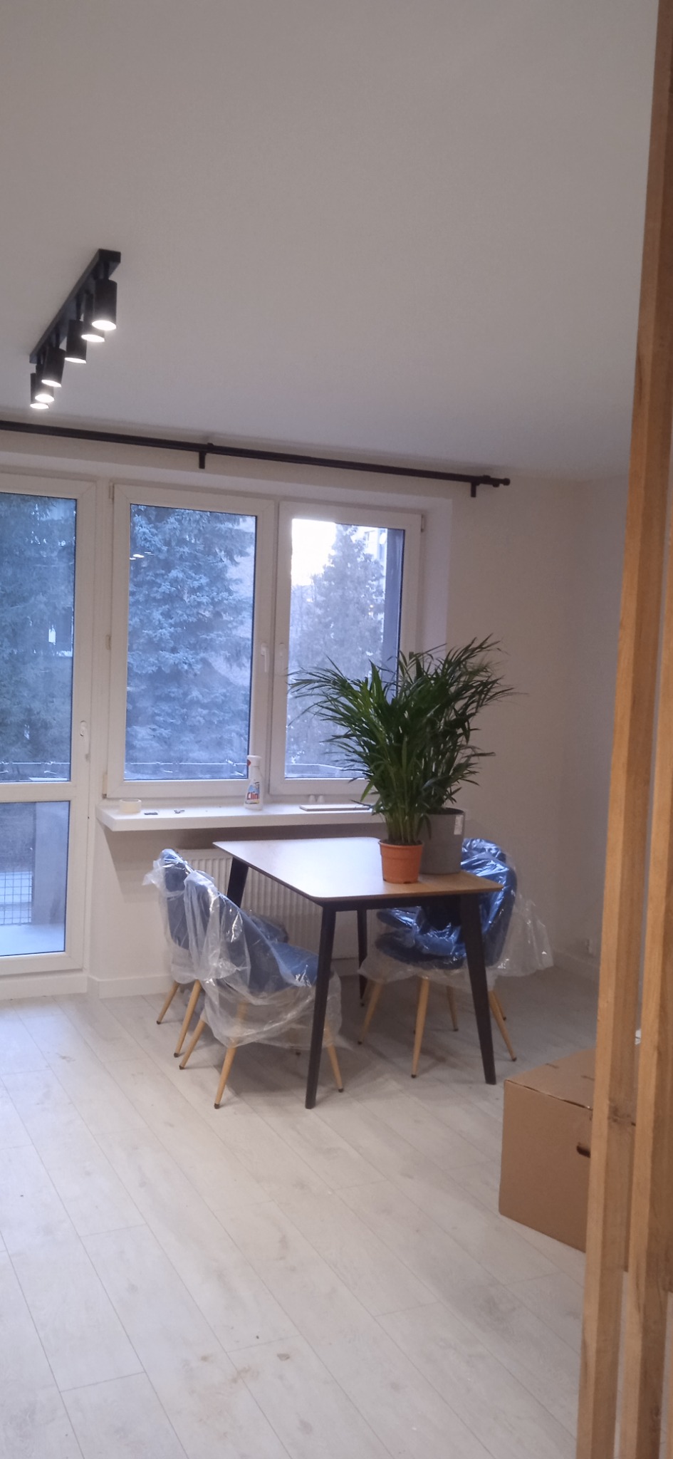 Jasne wnętrze pokoju z drewnianą podłogą, stołem i krzesłami w folii ochronnej, doniczką z rośliną na stole, widok przez okno na drzewa.