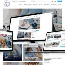 Strony Internetowe Agencja Interaktywna Pixelis - realizacja 6