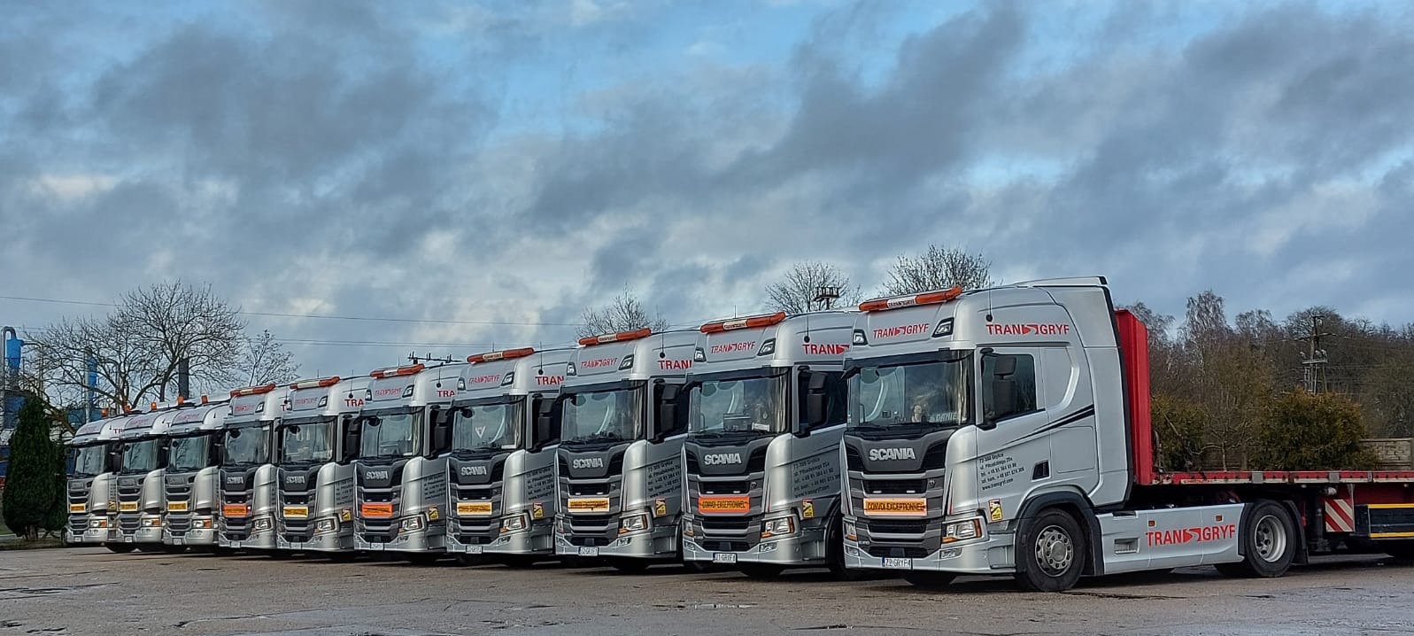 Szereg srebrnych ciężarówek marki Scania z napisem TRANS-GRYF, ustawionych na parkingu pod pochmurnym niebem.