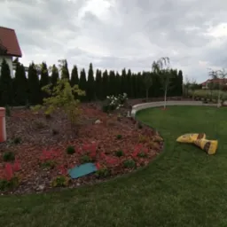 Uformowany rabat z korą i kwitnącymi astilbe, obok trawnik z workami. W tle rząd tuj i dom z czerwoną dachówką pod pochmurnym niebem.