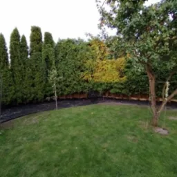 Uporządkowany ogród z zielonym trawnikiem, obrzeżami z czarnej agrowłókniny, wysokimi tujami i drzewem owocowym. Metalowa pergola w tle.