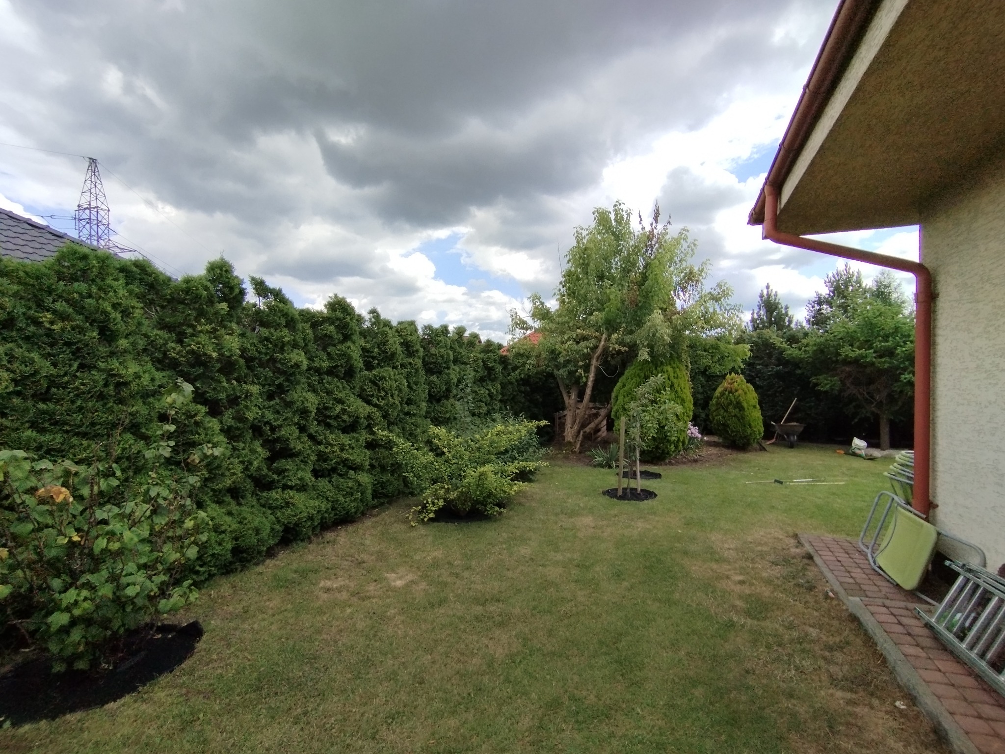 Zadbany ogród przydomowy z równo przystrzyżonymi tujami, drzewami i trawnikiem. Widoczne narzędzia ogrodnicze i drabina przy ścianie domu. Pochmurne niebo.