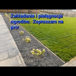 Przedsiębiorstwo-produkcyjno- handlowo - usługowe PPHU Danuta Śliwinska - Zakładanie Trawników Starogard Gdański