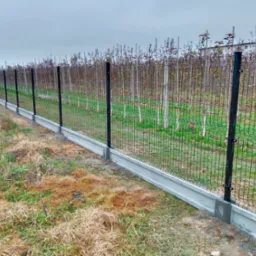 Długie, siatkowe ogrodzenie panelowe z czarnymi słupkami i betonową podmurówką, oddzielające pole z młodymi drzewkami owocowymi od zarośniętego terenu.