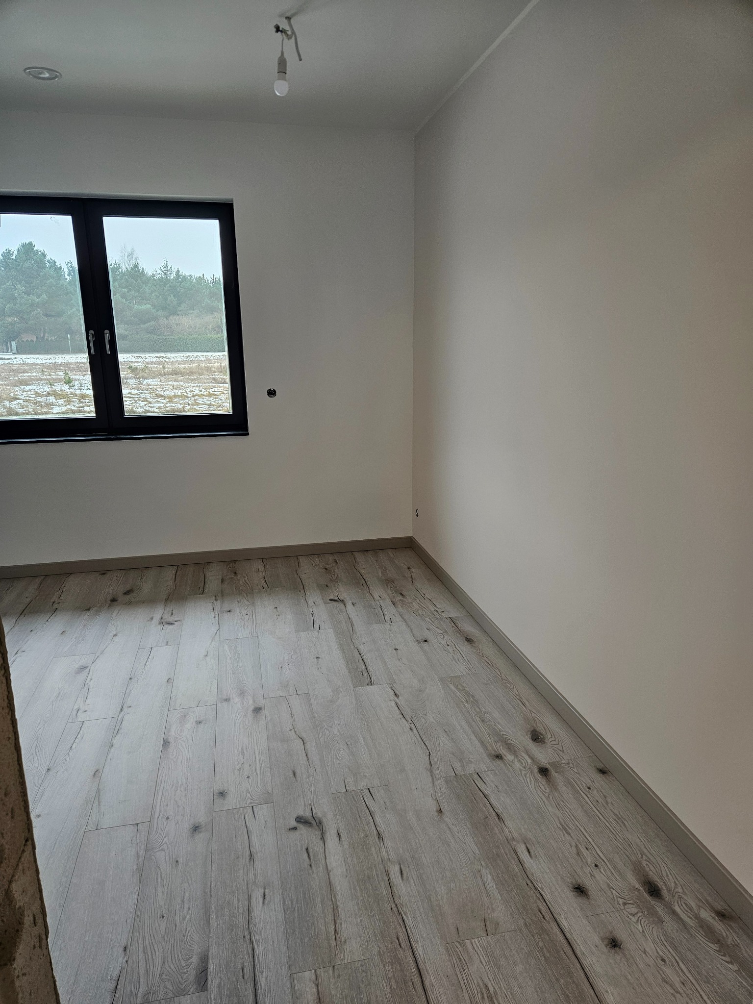 Jasne panele podłogowe w nowym pokoju z oknem na las. Ściany pomalowane na biało, widoczna żarówka na suficie. Minimalistyczne wykończenie wnętrza.