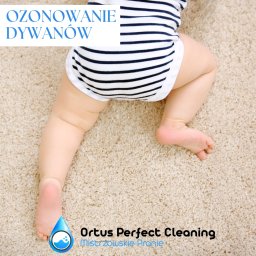Ortus Perfect Cleaning - Dziecięce nóżki na beżowym dywanie z krótkim włosiem, widoczny fragment ubranka w czarno-białe paski oraz logo firmy czyszczącej dywany.