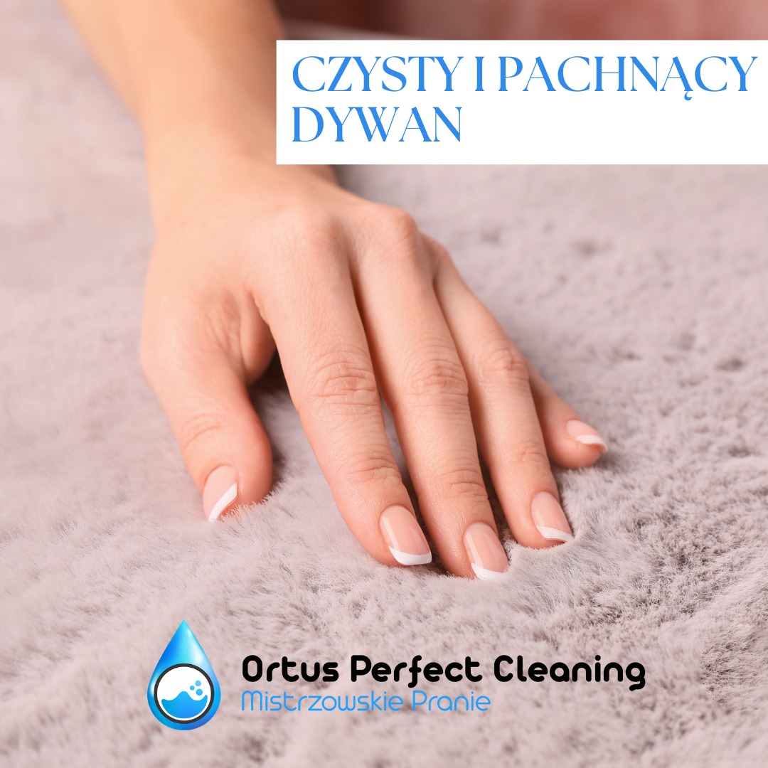 Dłoń kobiety z manicure francuskim dotyka czystego, puszystego dywanu w odcieniach szarości. W tle widoczny napis 'Czysty i pachnący dywan' oraz logo firmy sprzątającej.