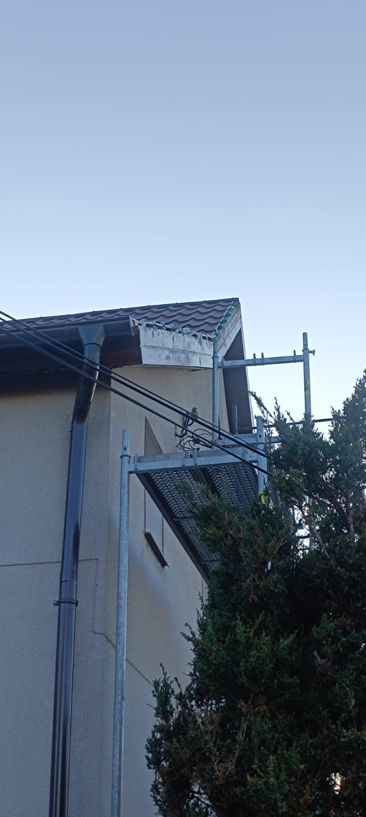 Fragment domu z brązowym dachem z widocznymi uszkodzeniami przy krawędzi, rusztowanie ustawione obok ściany, rynna spustowa i fragment zielonego drzewa na pierwszym planie.