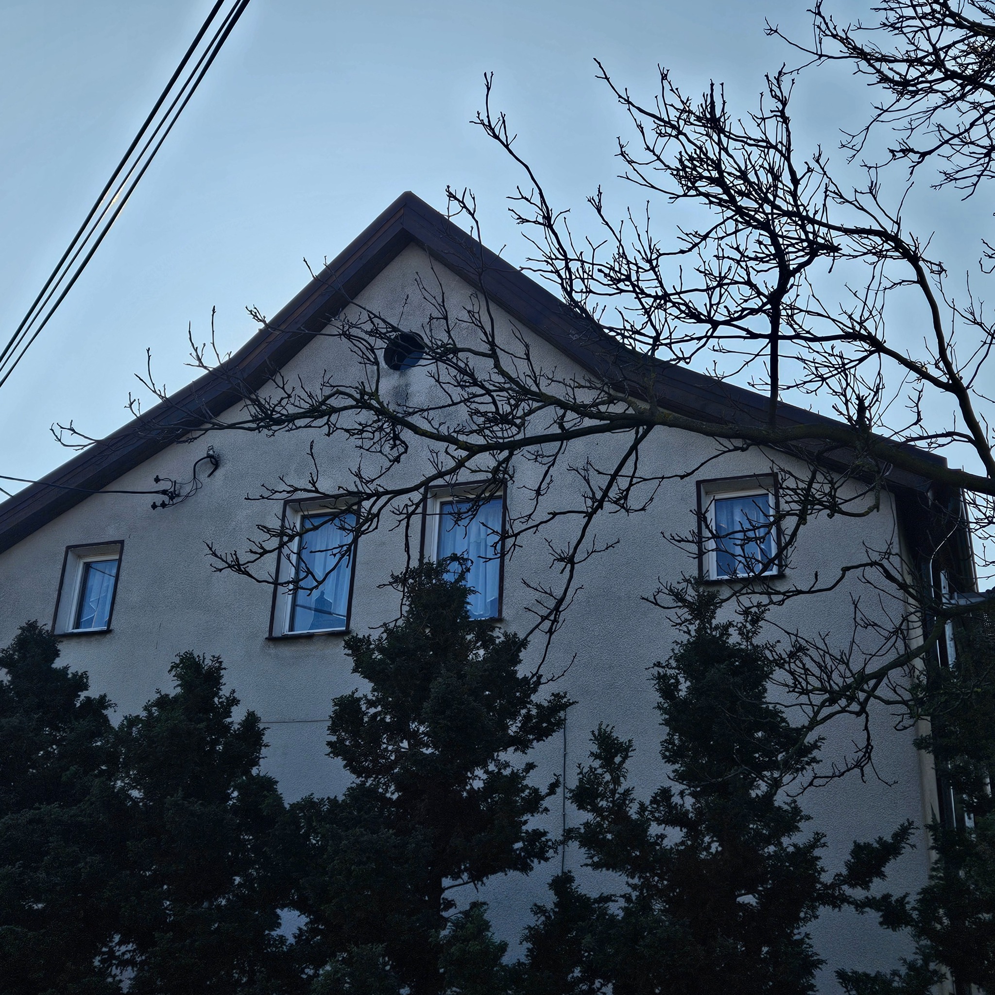 Dwupiętrowy dom z dwuspadowym dachem, widoczny z dołu, z drzewami iglastymi zasłaniającymi dolną część fasady, na tle pochmurnego nieba.