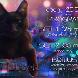 ....z zamiłowania do kotów ....