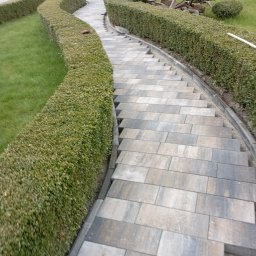 Efekt pracy u jednego z klientów 