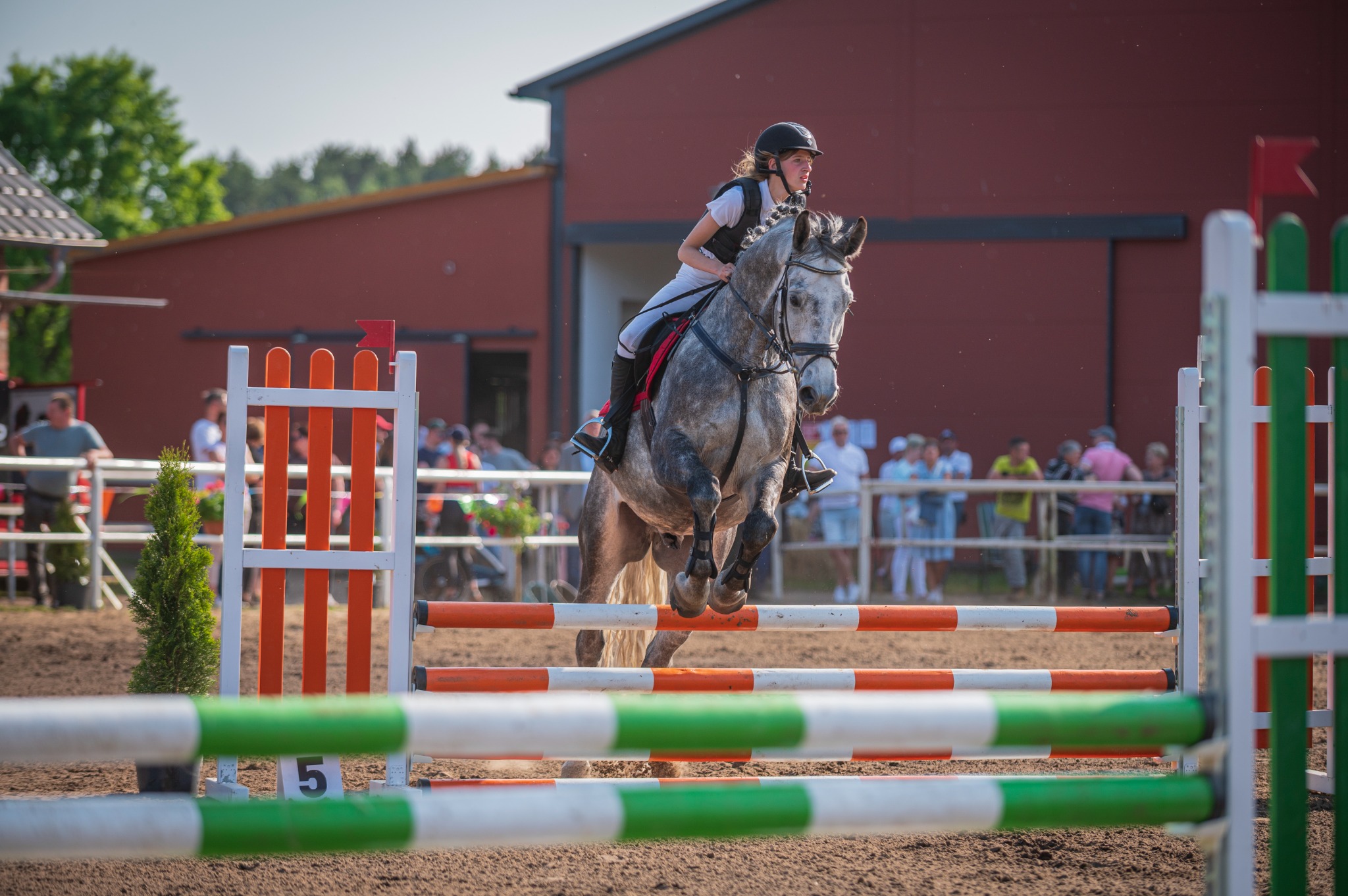 Młoda kobieta na siwym koniu skacze przez przeszkodę na tle czerwonego budynku i grupy obserwatorów.
