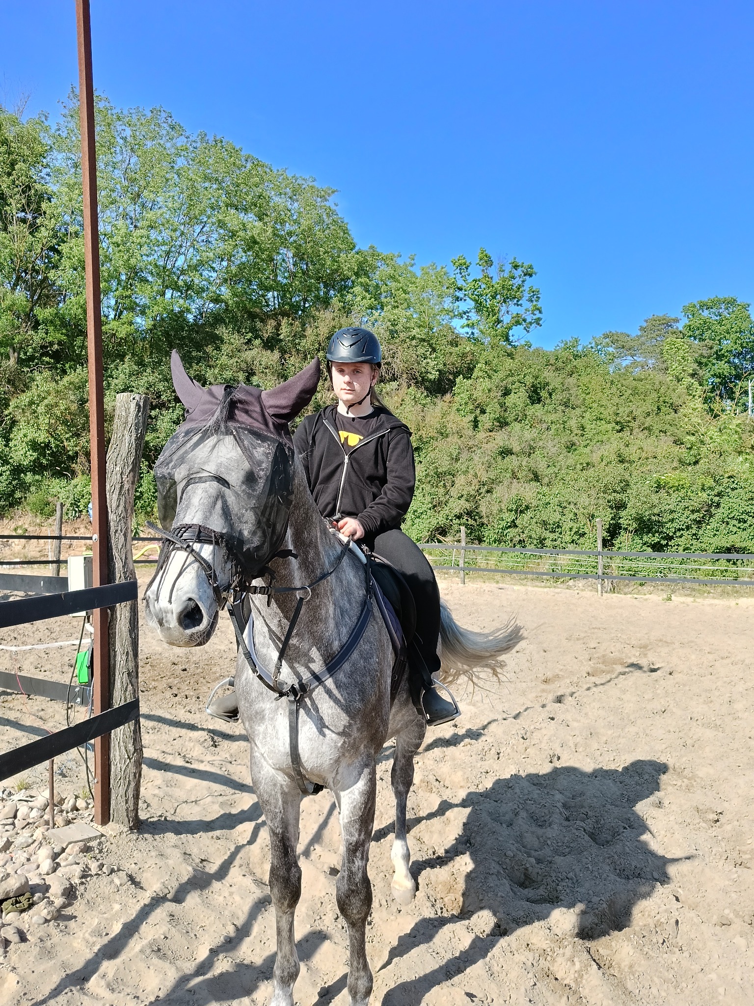 Młoda osoba w kasku na grzbiecie siwego konia z siatką na głowie, na piaszczystym padoku z drewnianym ogrodzeniem i zielenią w tle.