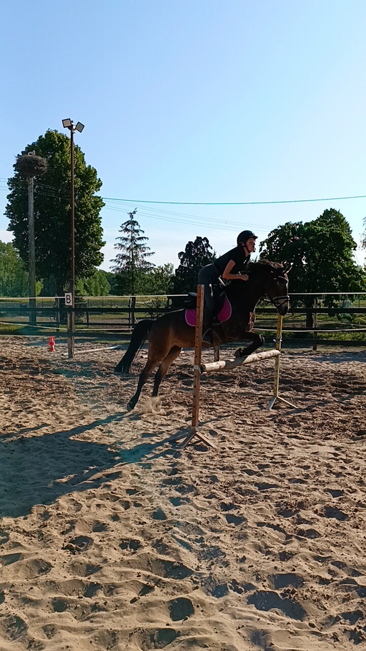 Jeździec w czarnym kasku i koszulce na brązowym koniu skacze przez przeszkodę na piaszczystym terenie; w tle widoczny słup z gniazdem bocianim.