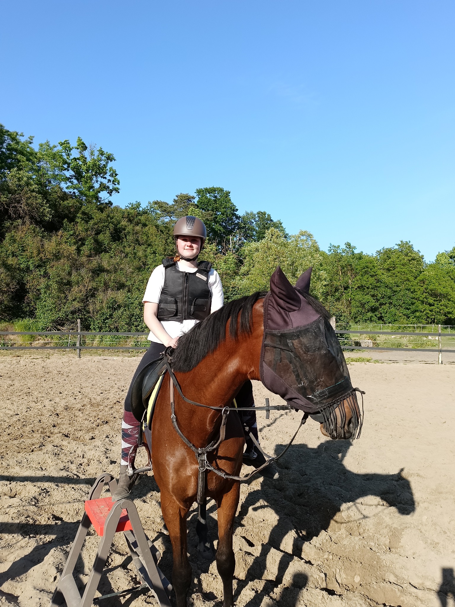 Kobieta w kamizelce ochronnej i kasku siedzi na brązowym koniu z maską na pysku na piaszczystym placu do jazdy konnej, w tle drzewa i niebieskie niebo.