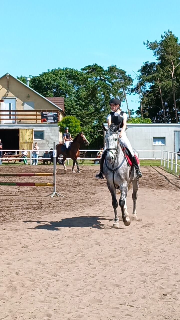 Dziewczyna w kamizelce ochronnej na siwym koniu podczas jazdy na placu treningowym, w tle przeszkody i budynek stajni.