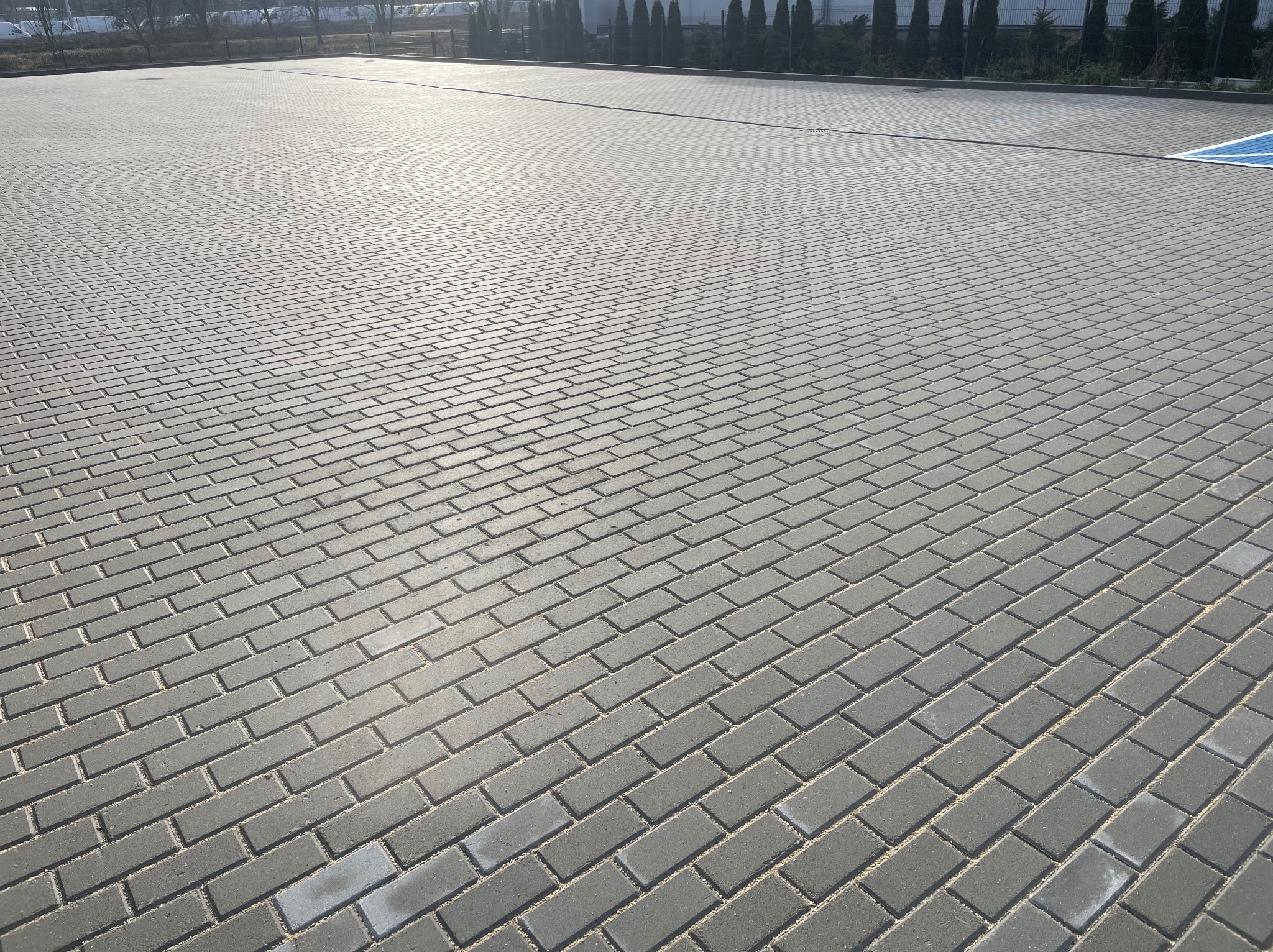 Rozległy, szary parking z kostki brukowej ułożonej w jodełkę. W tle widoczne drzewa i budynki. Na skraju parkingu wyznaczono miejsce parkingowe dla osób niepełnosprawnych.