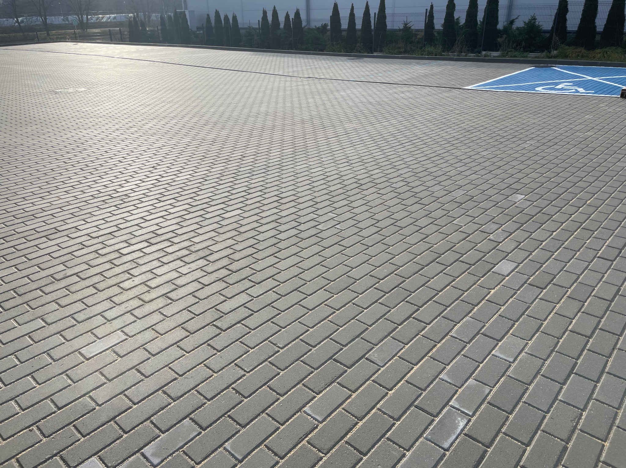 Szara kostka brukowa ułożona na dużym parkingu z wyznaczonym, niebieskim miejscem dla osób niepełnosprawnych. W tle rząd tuj.