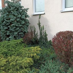 PU-H Domena - Malowanie Elewacji Zielona Góra