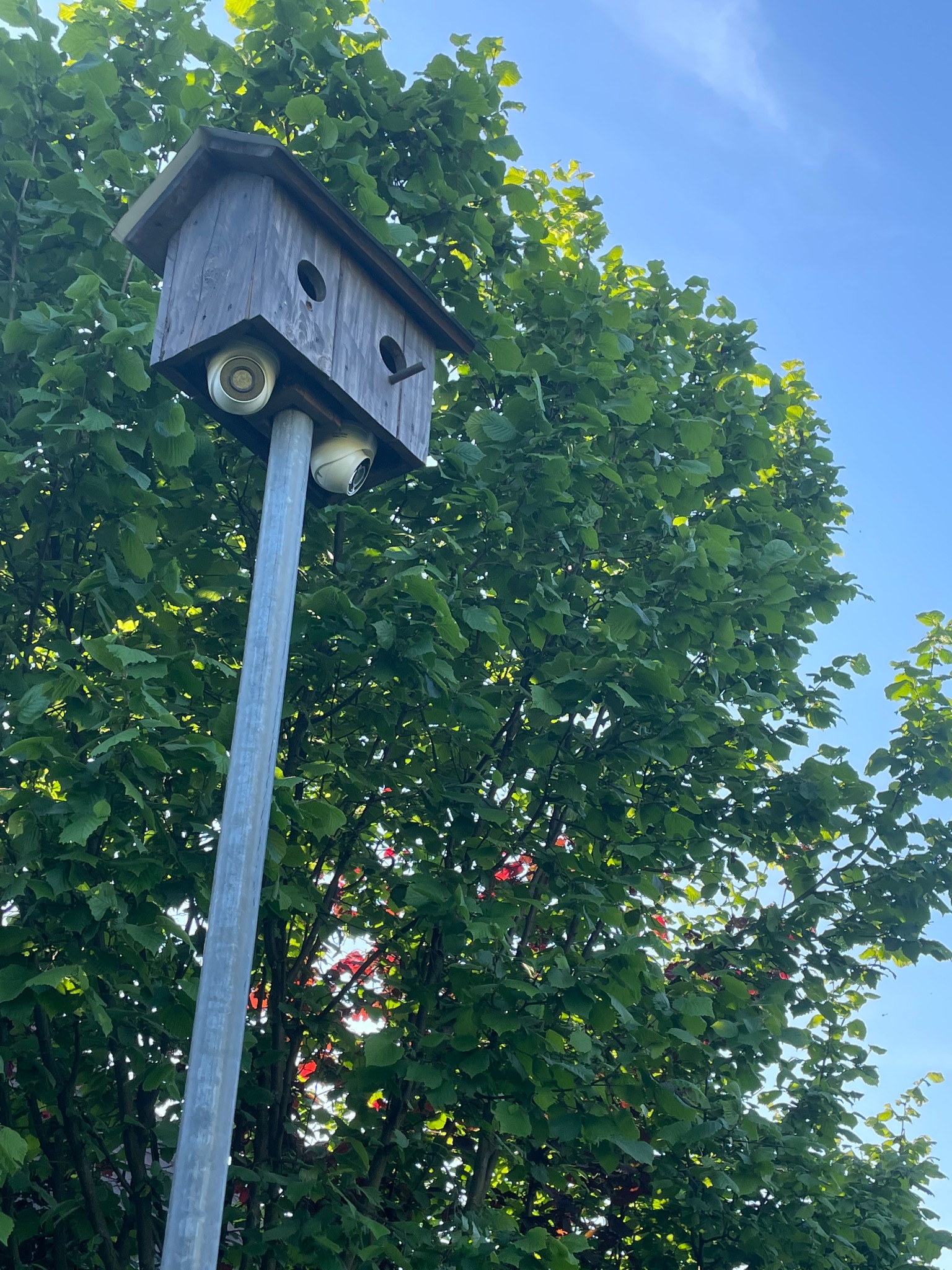 Monitoring działki rekreacyjnej.