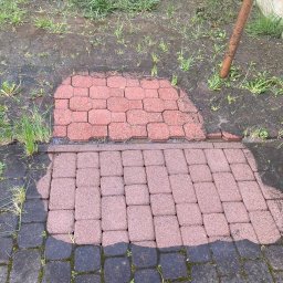 Szuru-Buru Robert Suchodolski - Częściowo umyta kostka brukowa w ogrodzie, wyraźny kontrast pomiędzy czystą, czerwoną powierzchnią a brudną, czarną kostką z porostami i trawą.