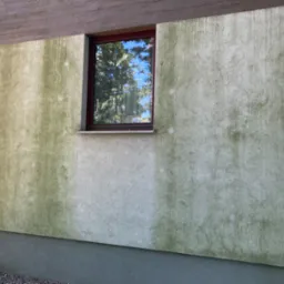 Fragment elewacji budynku z wyraźnym kontrastem między czystą a zabrudzoną powierzchnią, widoczne ślady biologicznego porażenia, okno z ciemną ramą odbijające drzewa.