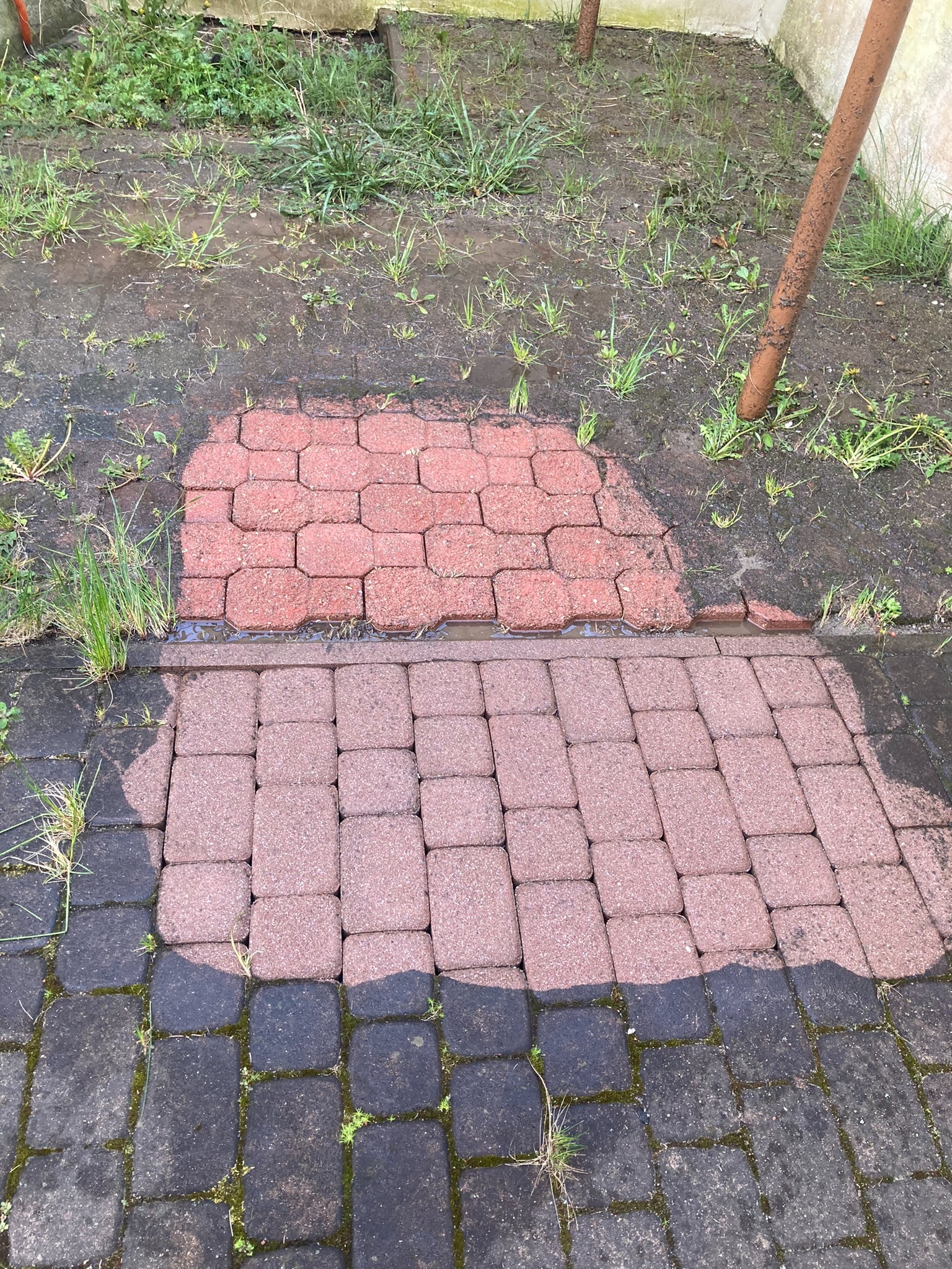 Częściowo umyta kostka brukowa w ogrodzie, wyraźny kontrast pomiędzy czystą, czerwoną powierzchnią a brudną, czarną kostką z porostami i trawą.