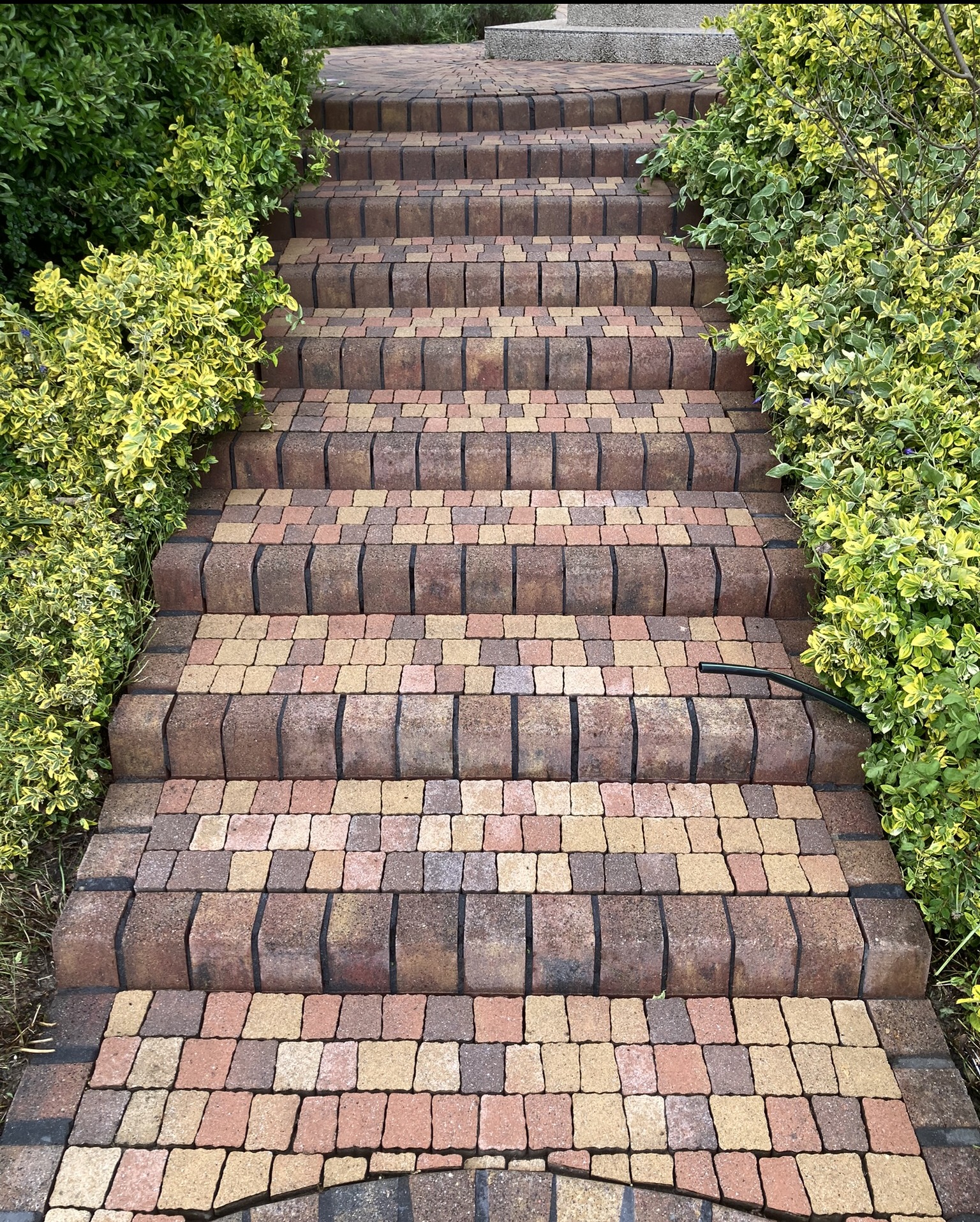 Schody z kostki brukowej w odcieniach brązu i beżu, otoczone zielenią, prowadzące w górę.